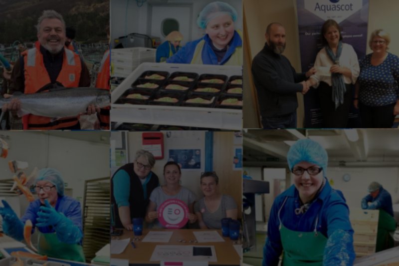 Productiemedewerkers van voedingsbedrijf Aquascot