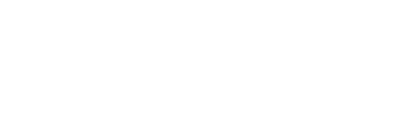logo-white-nzvl