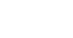logo_vnz-white